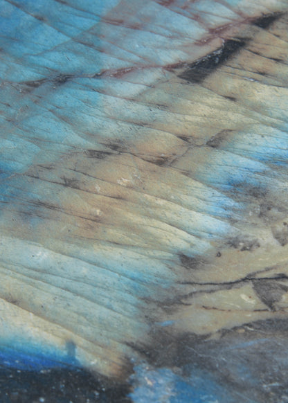 Leana schwarz, blau 60x120 poliert