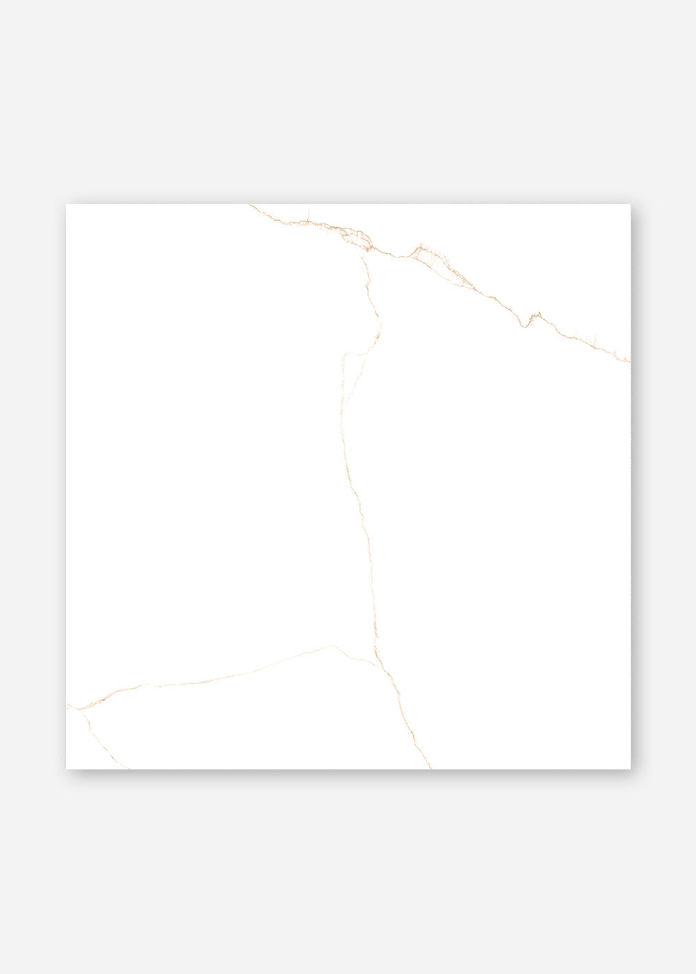 Imperial gold  120x120 poliert