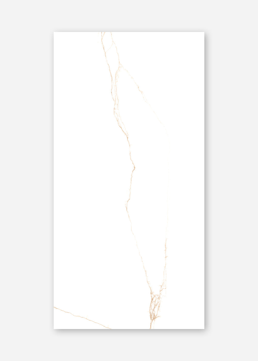 Imperial gold  60x120 poliert